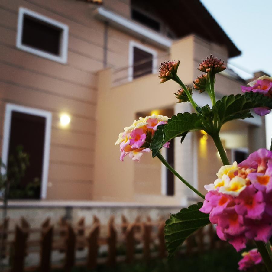 Villa Luna Kalamákion 외부 사진